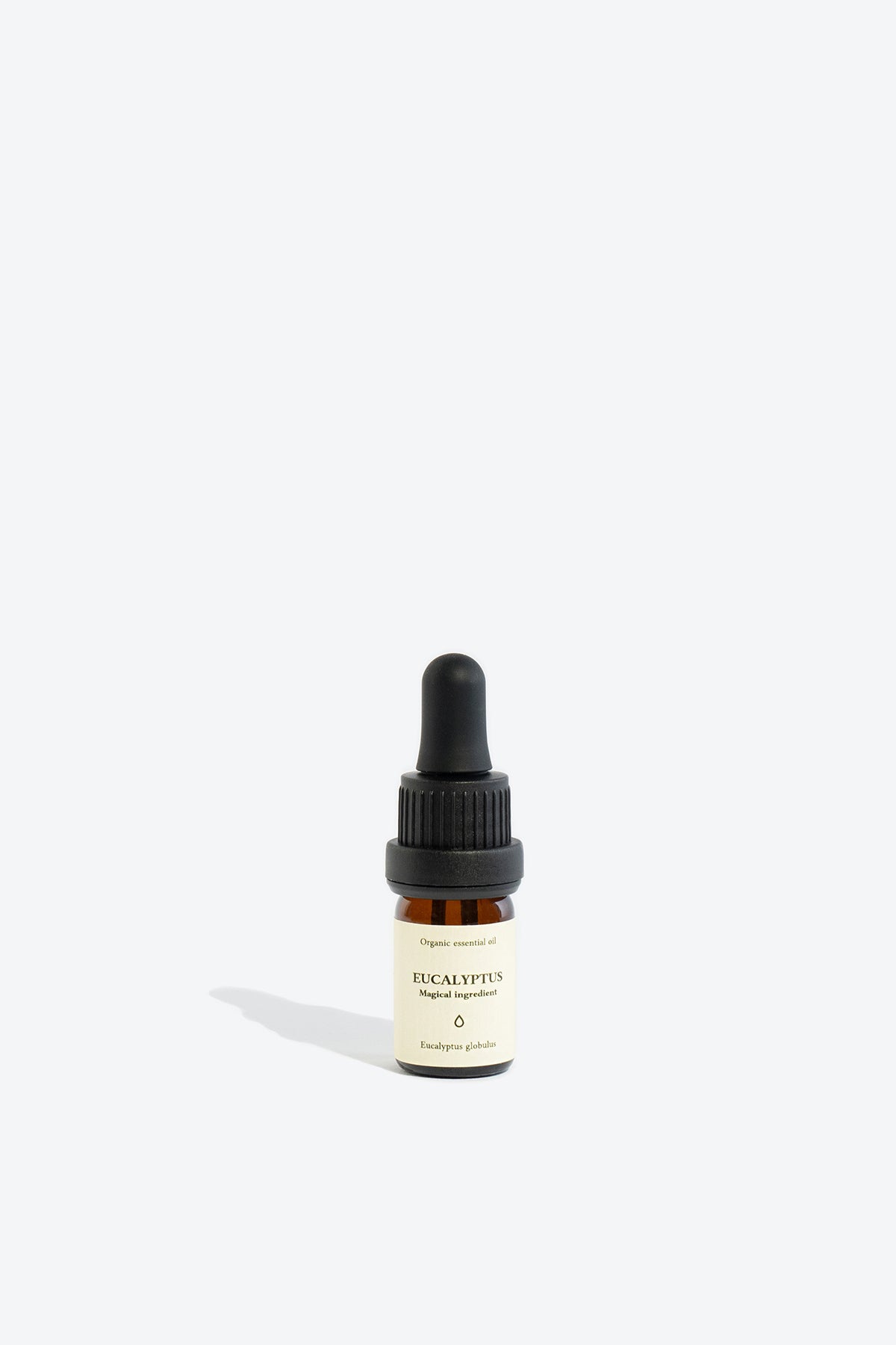 Eucalyptus essential oil SMELLS LIKE SPELLS Eucalyptus globulus