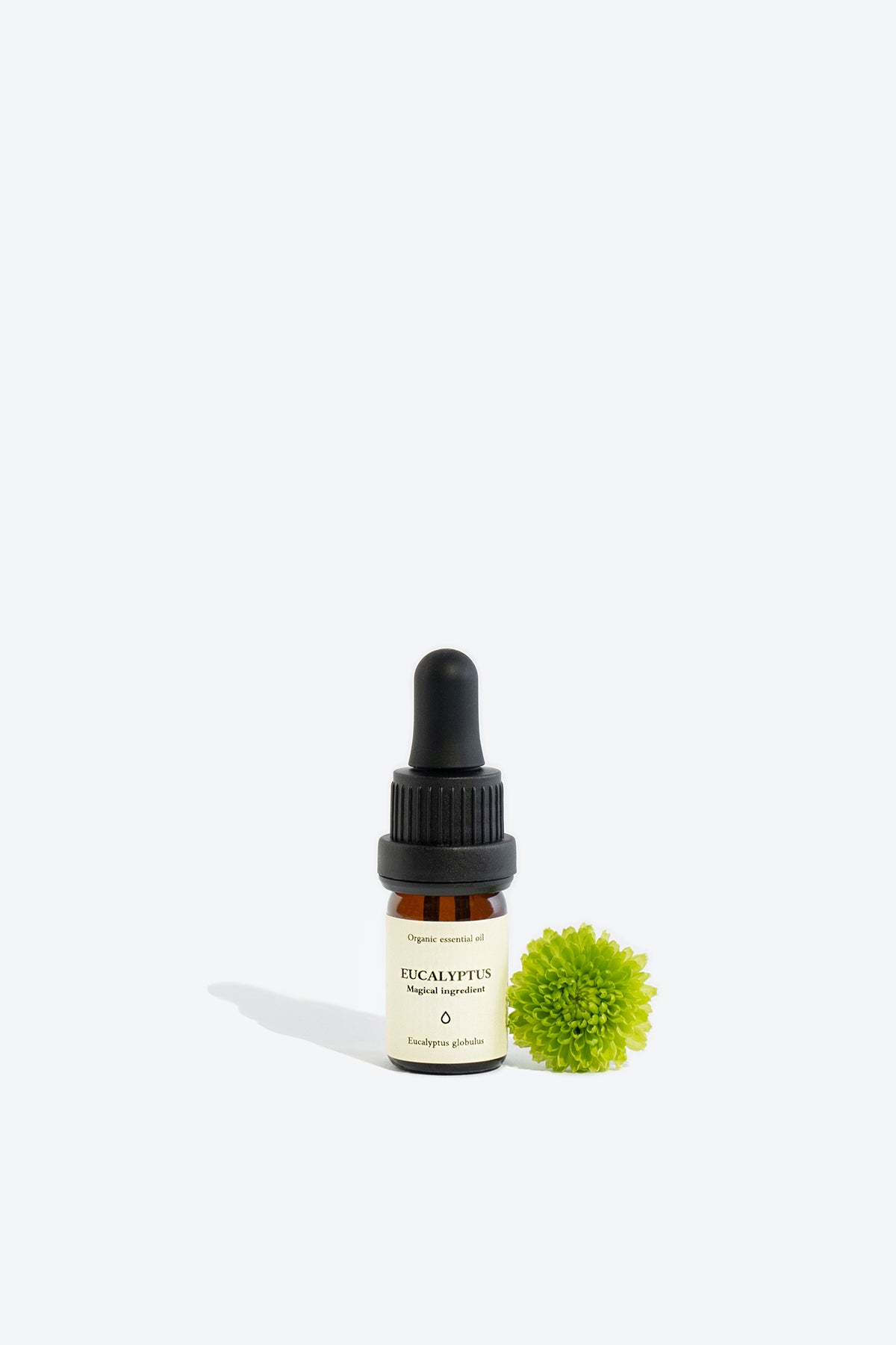 Eucalyptus essential oil SMELLS LIKE SPELLS Eucalyptus globulus