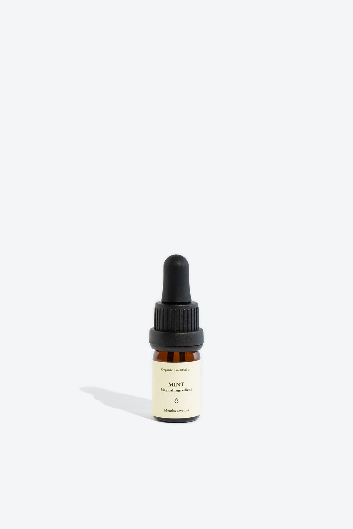 Mint essential oil SMELLS LIKE SPELLS Mentha arvensis