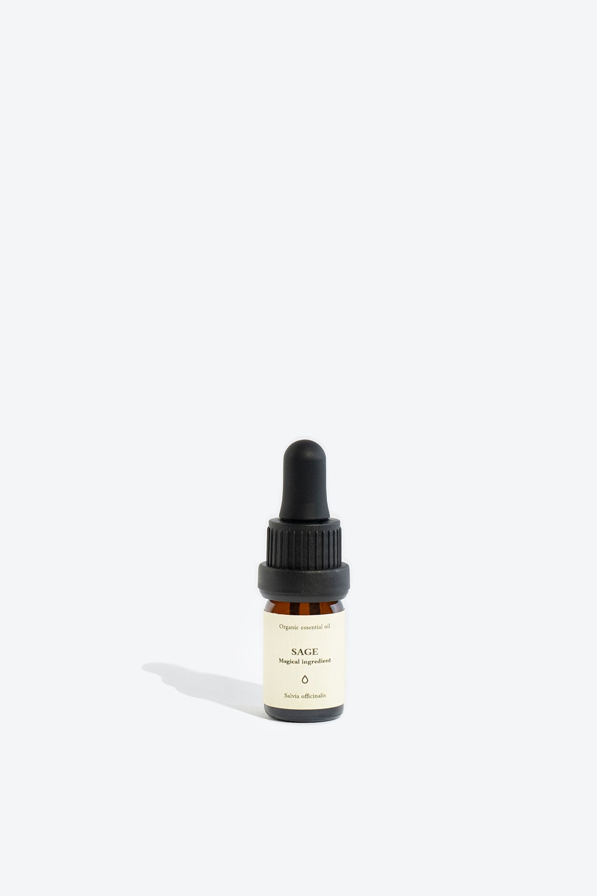 Sage essential oil SMELLS LIKE SPELLS Salvia officinalis