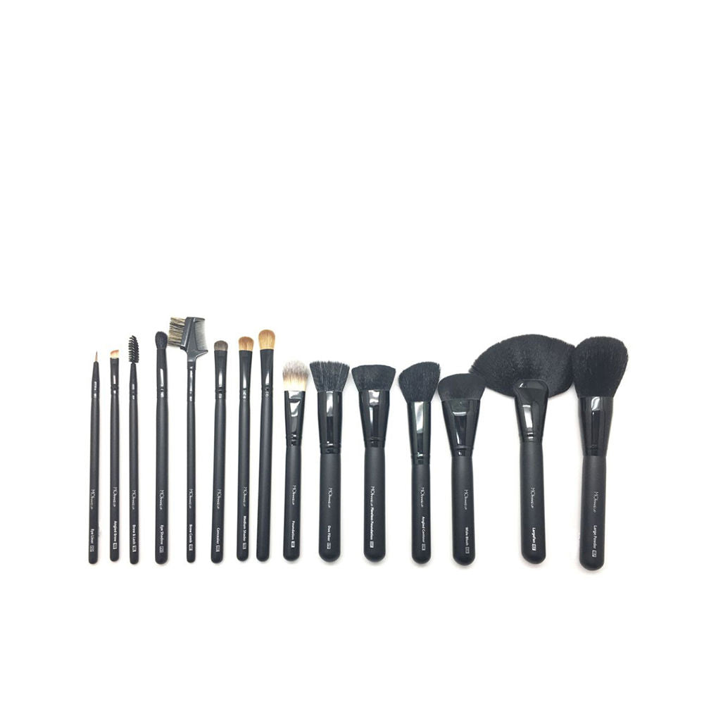 PROFESSIONAL BRUSHES AND BRUSHES CASE 15 pcs-0