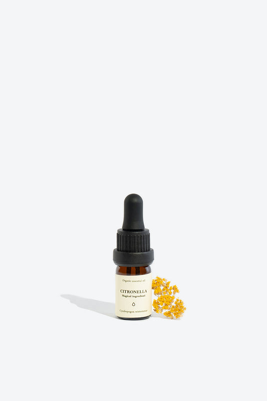 Citronella essential oil SMELLS LIKE SPELLS Cymbopogon winterienus