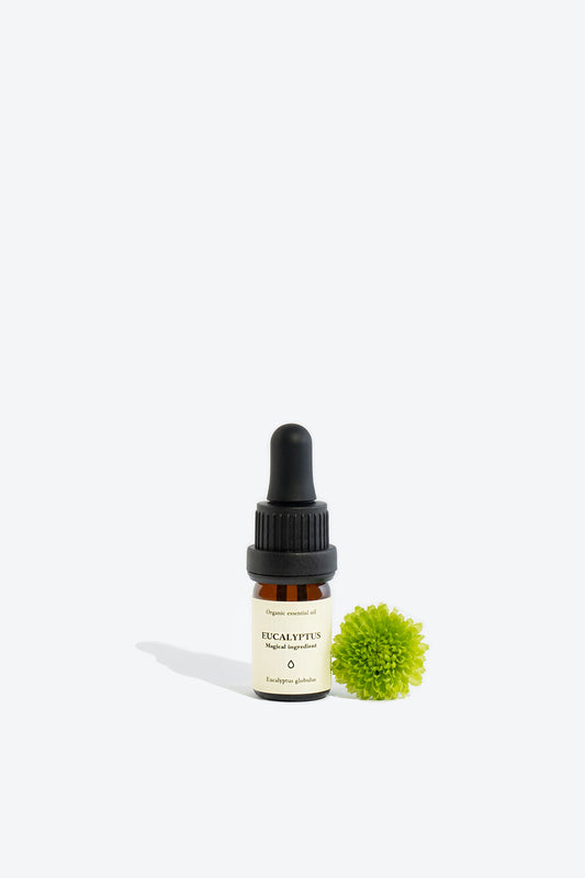 Eucalyptus essential oil SMELLS LIKE SPELLS Eucalyptus globulus
