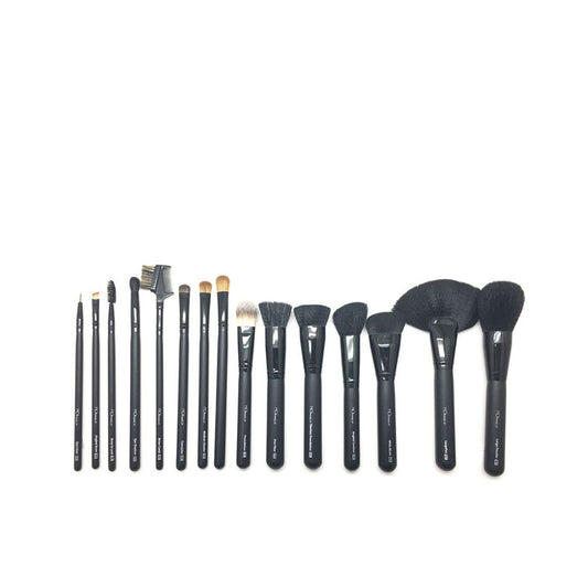 PROFESSIONAL BRUSHES AND BRUSHES CASE 15 pcs-0